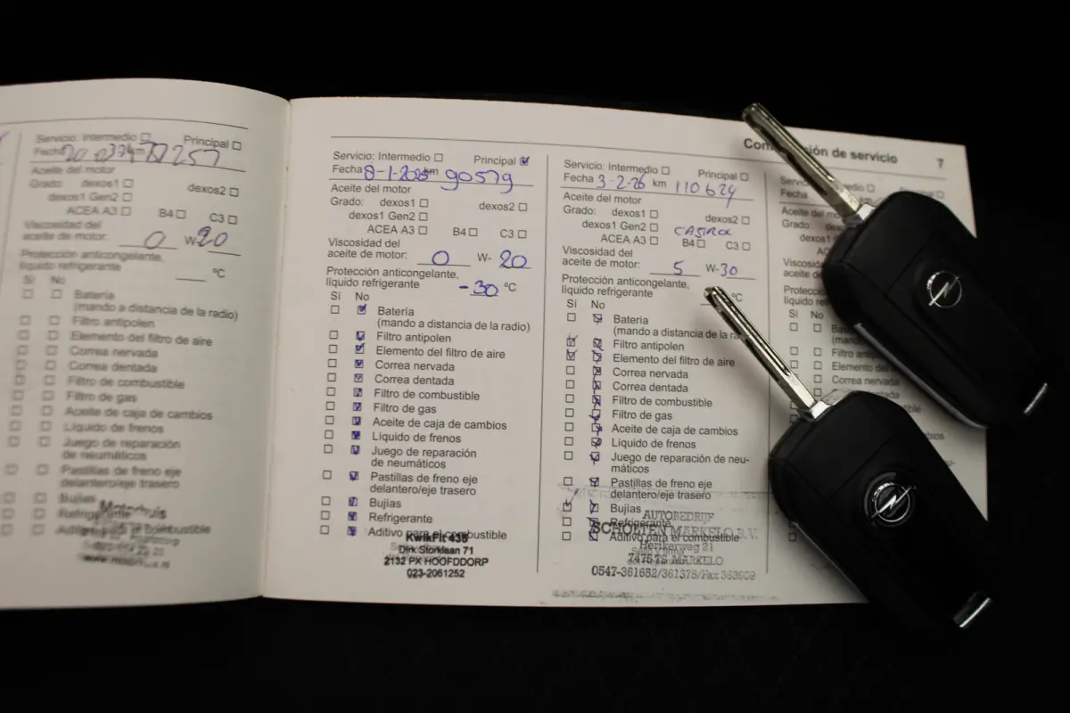 1.2 Turbo 120 Jaar Edition |Stoel/stuur verw.|Camera|