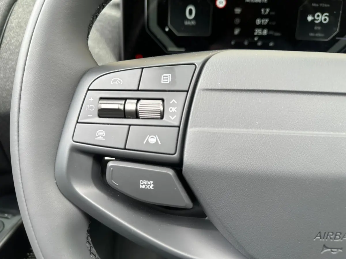 Plus Advanced 42.2 kWh Demo | panorama dak | Harman & Kardon | Navigatie | stoel stuurverwarming |