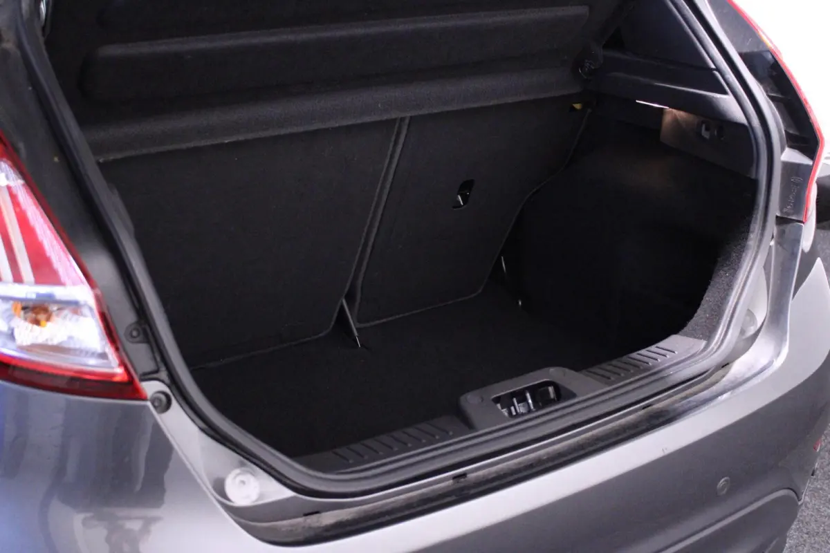 1.0 EcoBoost ST Line| Trekhaak | Camera | Stoelverwarming
