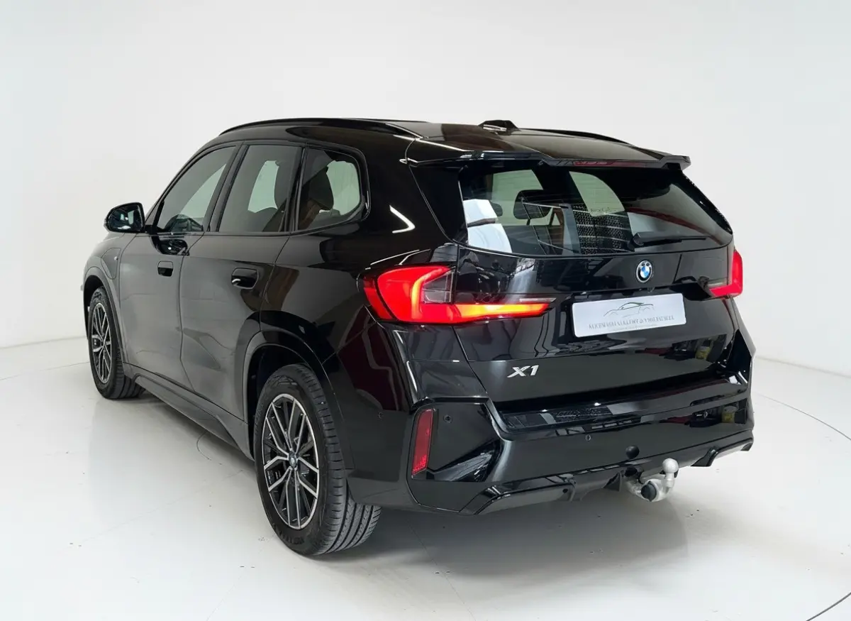 XDrive25e - Panorama - Trekhaak - Memory