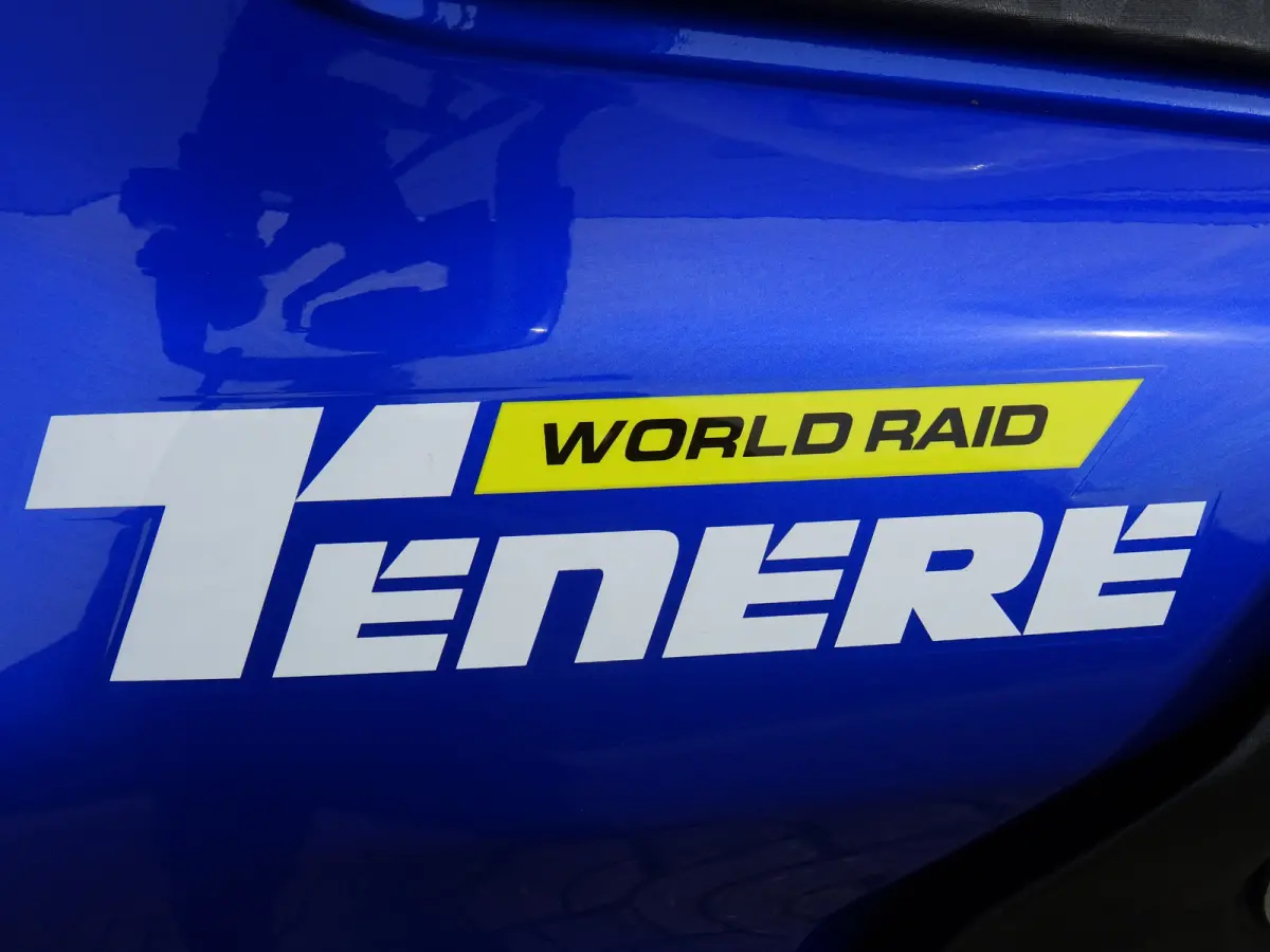 WORLD RAID