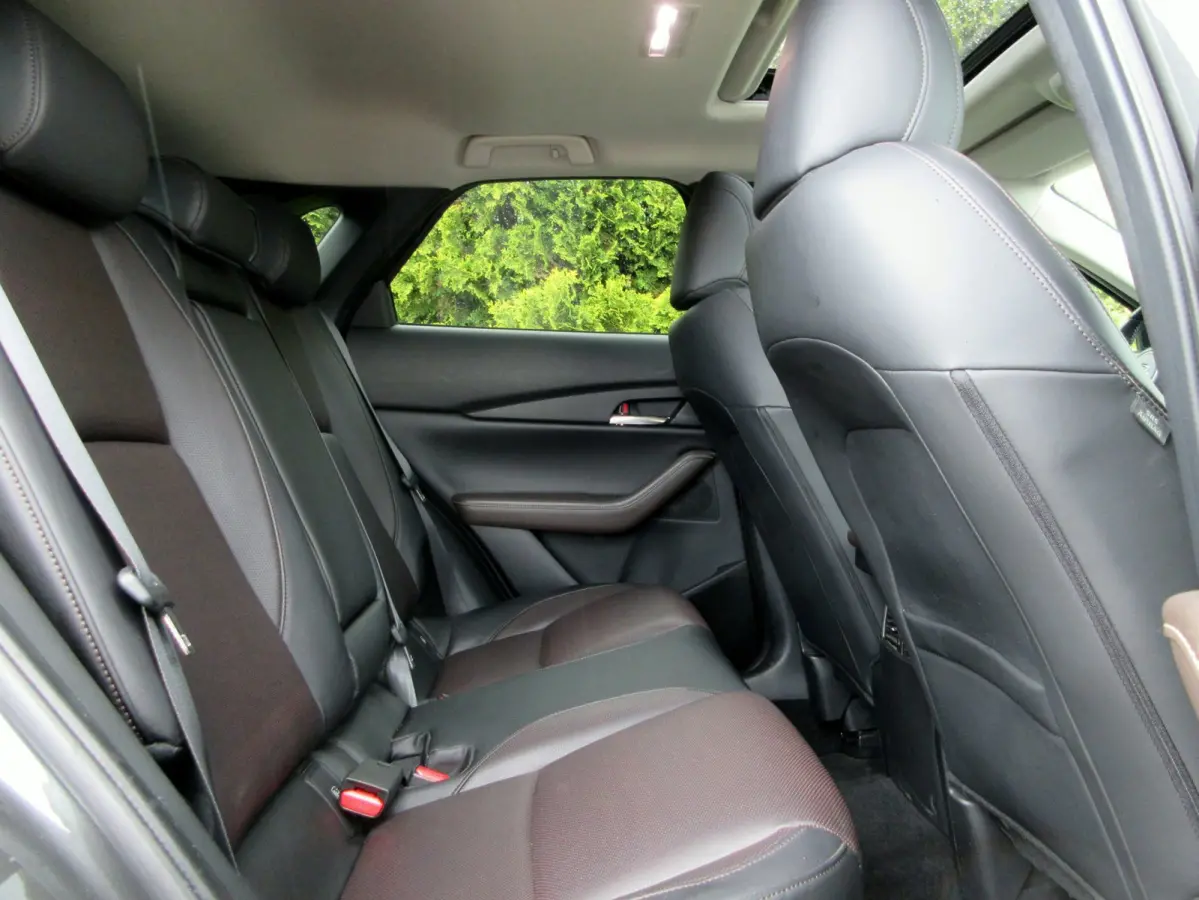 2.0 e-SkyActiv-X M Hybrid Luxury * Trekhaak *