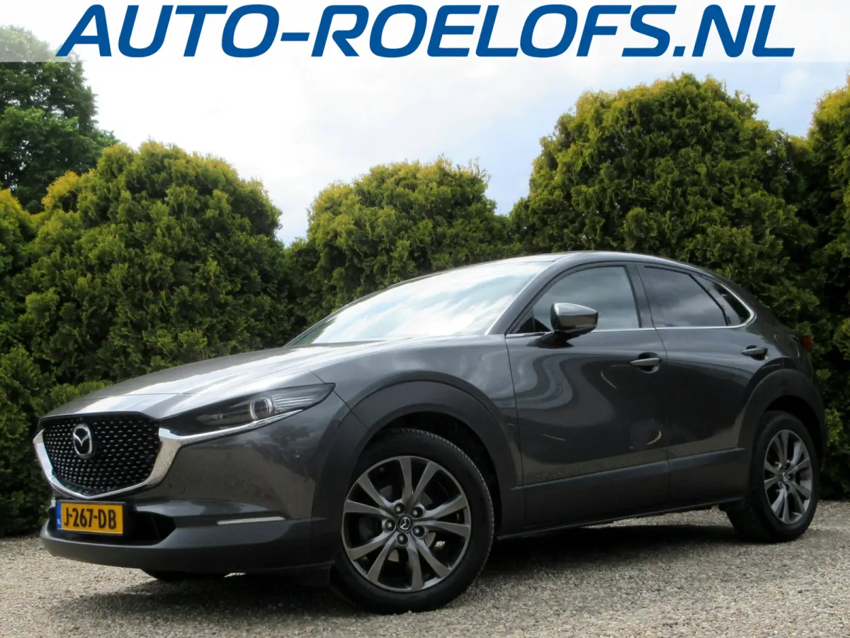 2.0 e-SkyActiv-X M Hybrid Luxury * Trekhaak *