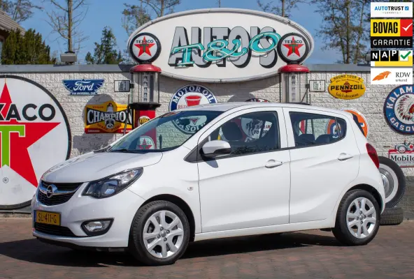 1.0 ecoFLEX Edition 2e Eigenaar +NAP NL-auto
