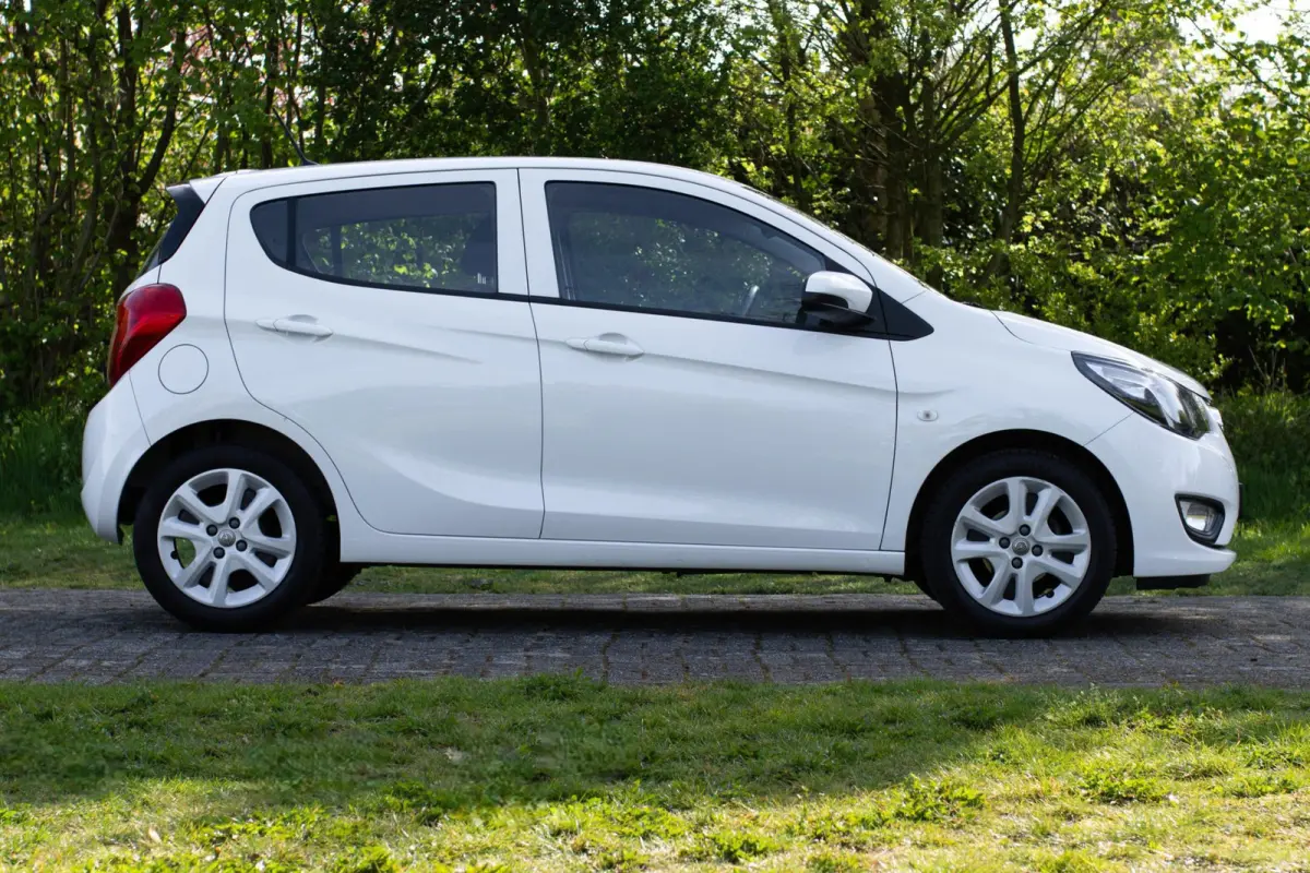 1.0 ecoFLEX Edition 2e Eigenaar +NAP NL-auto