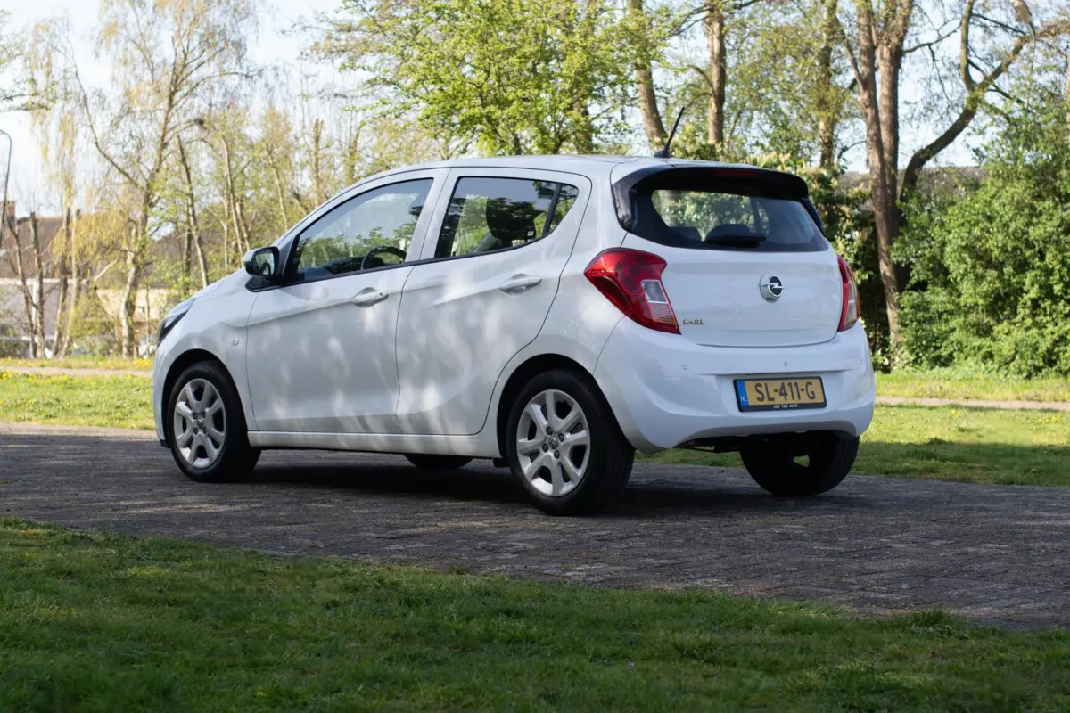 1.0 ecoFLEX Edition 2e Eigenaar +NAP NL-auto