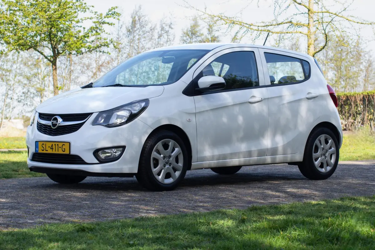 1.0 ecoFLEX Edition 2e Eigenaar +NAP NL-auto