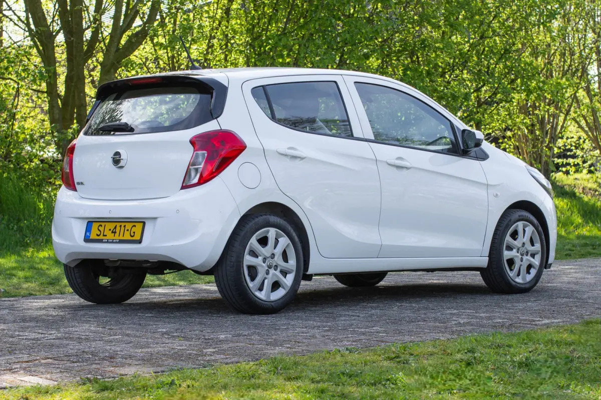 1.0 ecoFLEX Edition 2e Eigenaar +NAP NL-auto