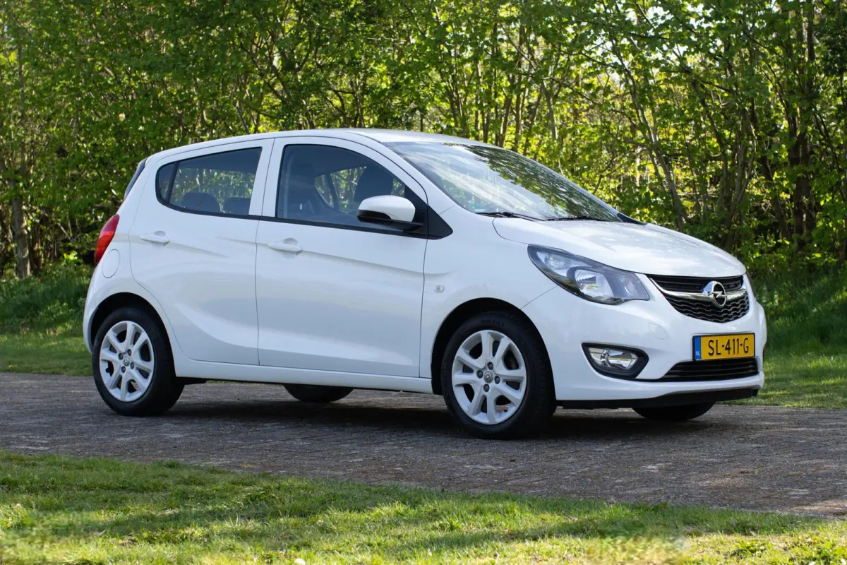 1.0 ecoFLEX Edition 2e Eigenaar +NAP NL-auto