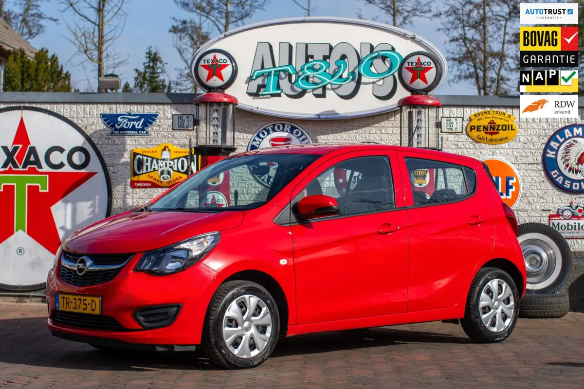 1.0 ecoFLEX Edition 43.100 km +NAP NL-auto