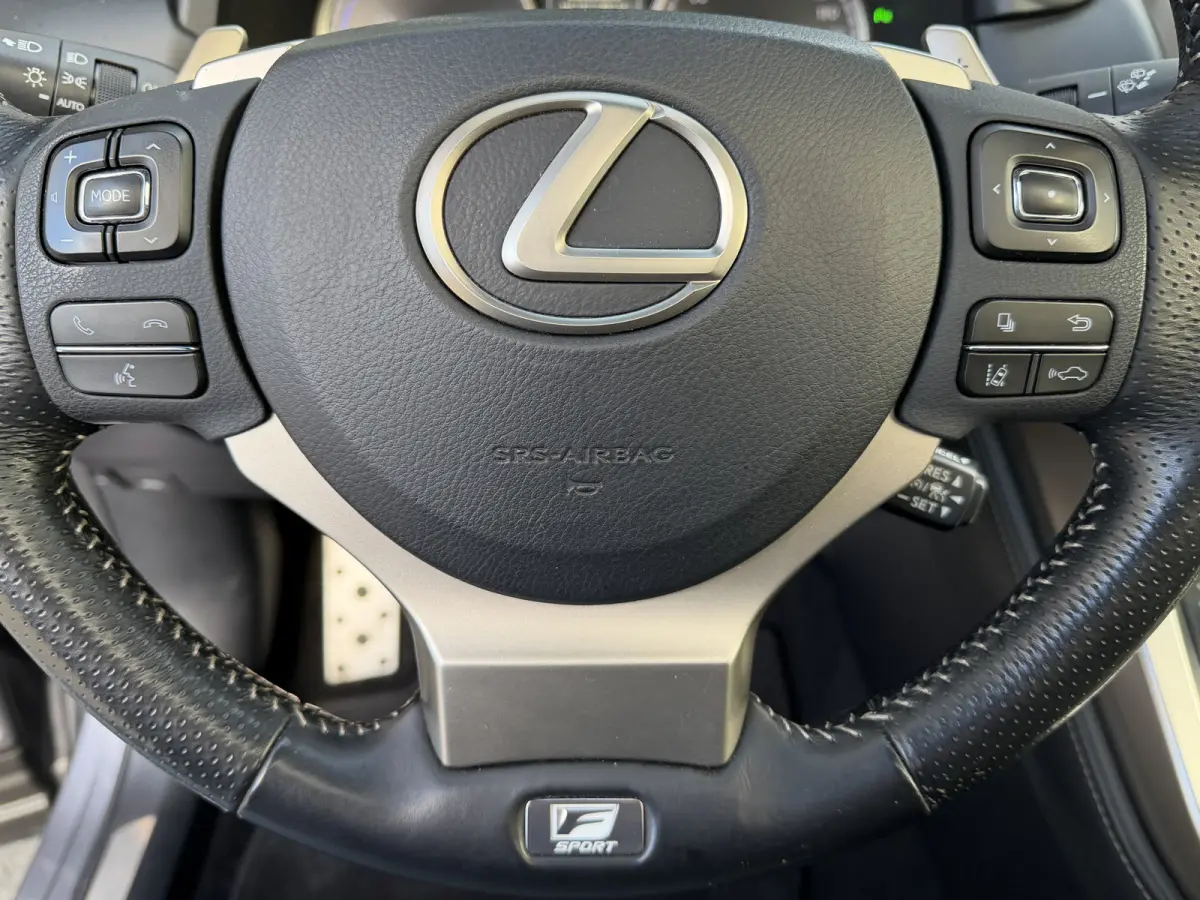 300h AWD F SPORT | Pano dak | 12 mnd BOVAG Garantie | Rijklaar!!
