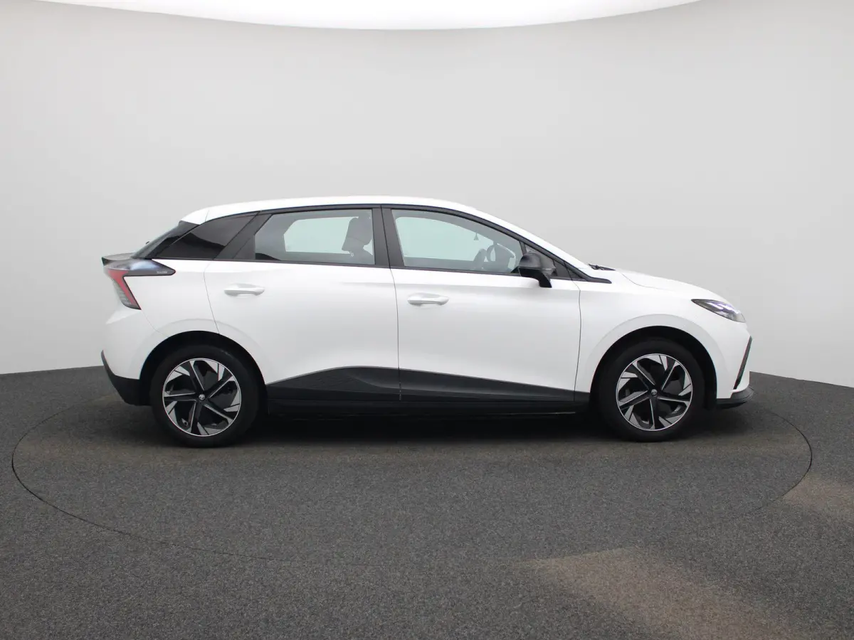 Standard 51 kWh | CLIMATE CONTROL | PARKEERSENSOREN | LED