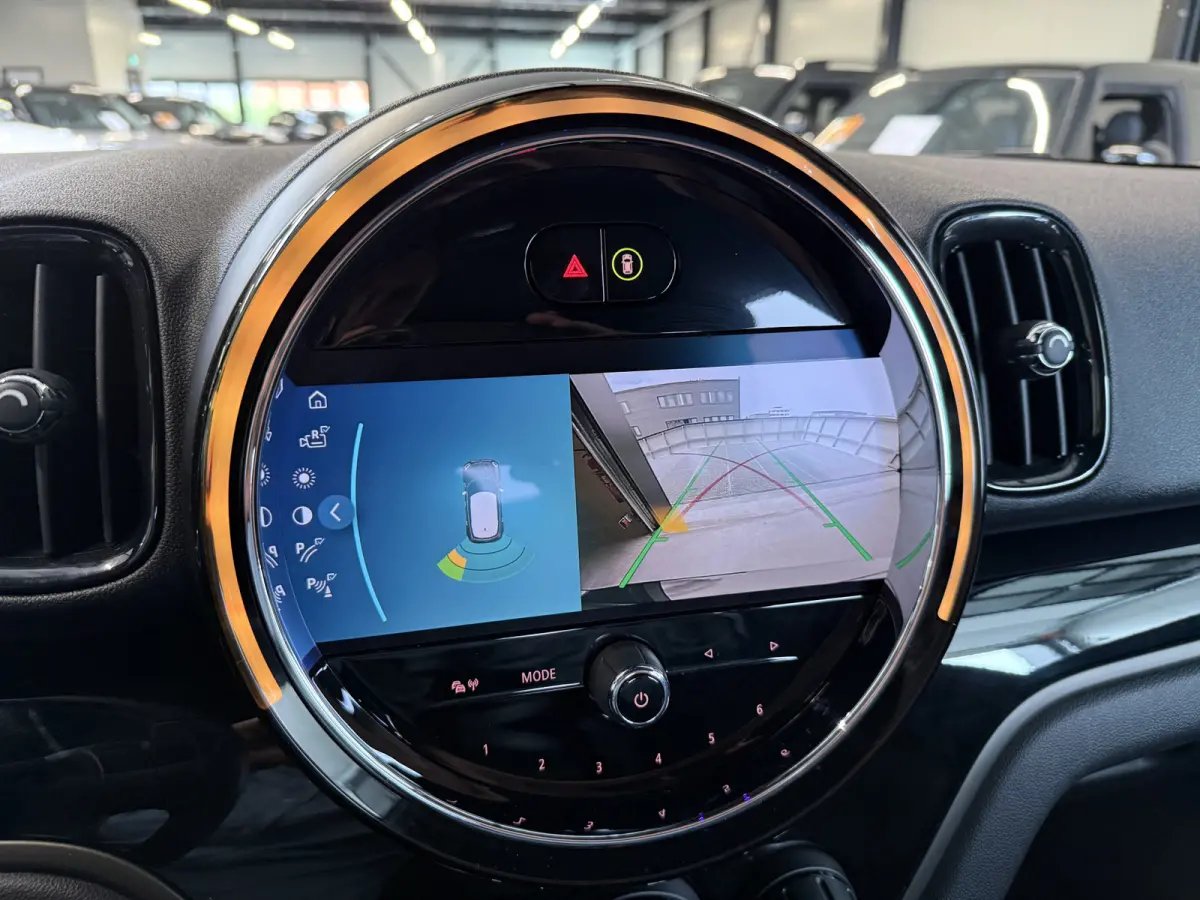 2.0 Cooper SE ALL4 Leder/Camera/Apple