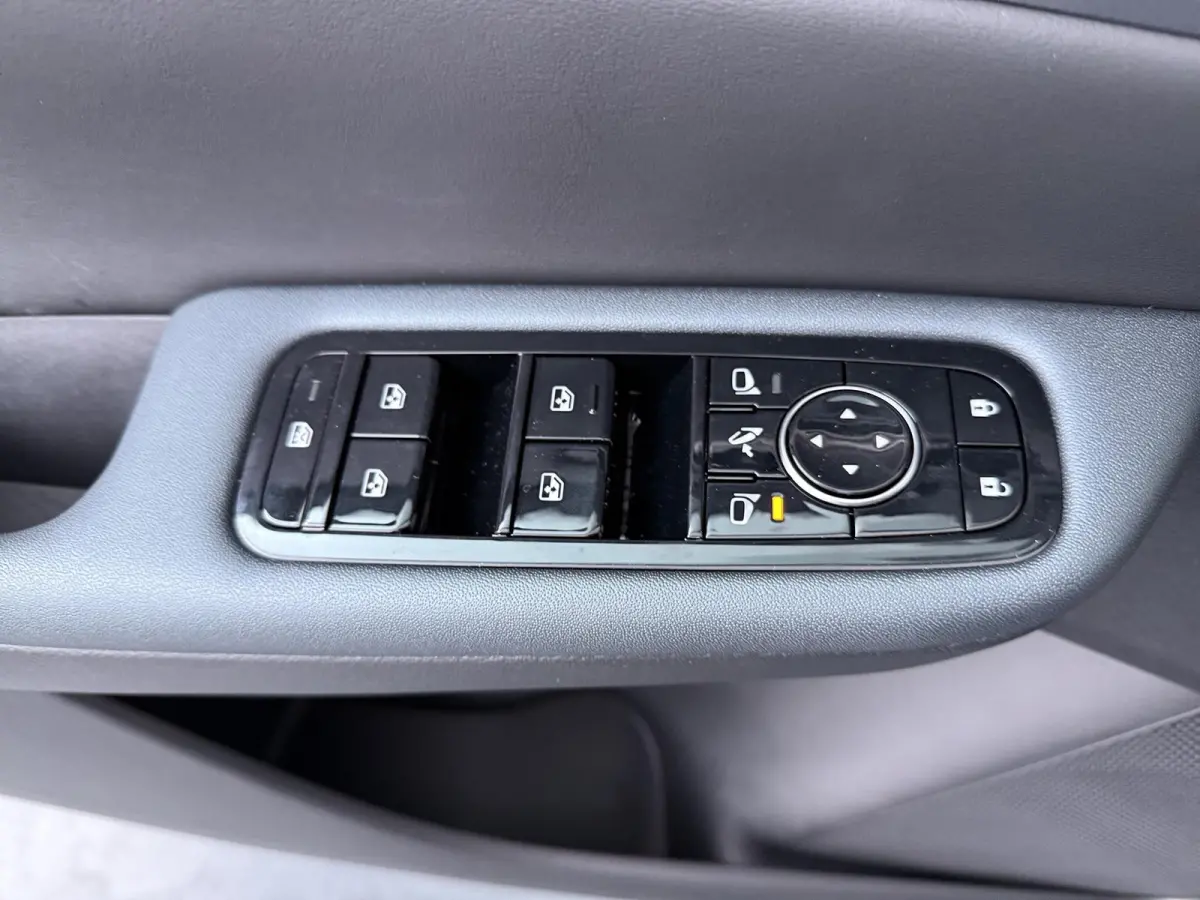 Evolve 52 kWh | Panoramadak | BOSE Audio | Lederen Bekl. |