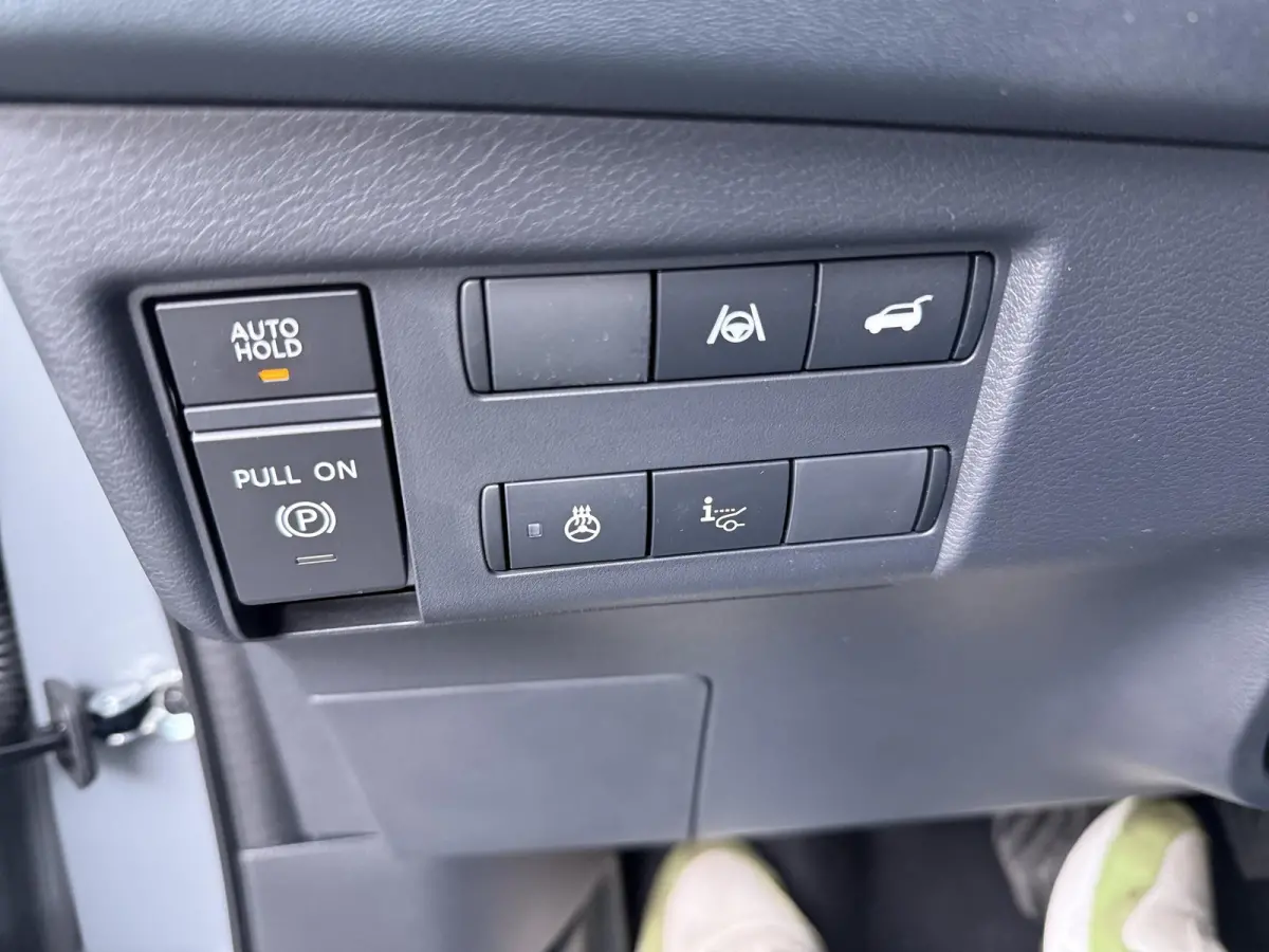 Evolve 52 kWh | Panoramadak | BOSE Audio | Lederen Bekl. |