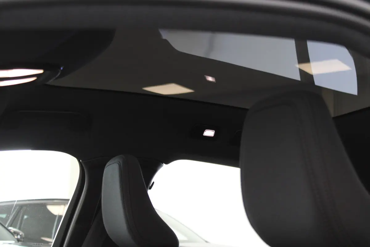 Single Plus Europa Black Edition 70kWh Power Seats | Climate Pack | 20" | Elektr. achterklep