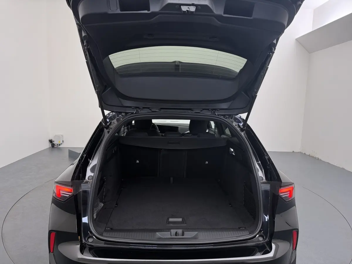1.2 Turbo Hybrid Business Edition / Navigatie / Camera / Parkeersensoren / Stuur -en Stoelverwarmd / Keyless / Carplay / 17'' LMV