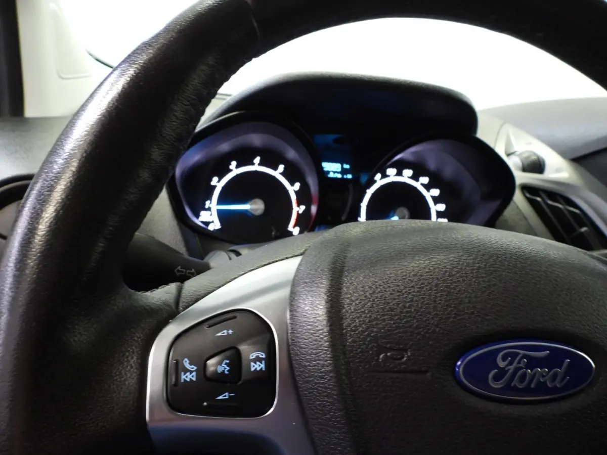 1.0 Trend EcoBoost NAVI/CAMERA/2xSCHUIFDEUR/PDC!