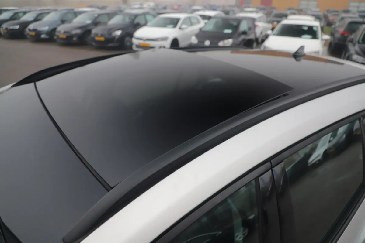 1.5 EcoBlue Active Business Panoramadak 17 inch LMV Navigatie Carplay Android LED Achteruitrijcamera Cruise Parkeersensor Unieke auto!