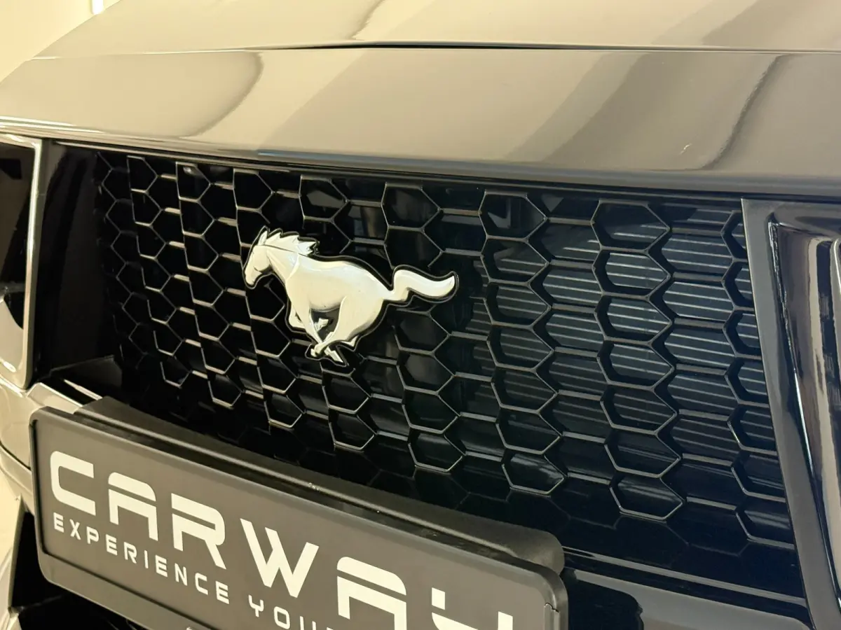 Performance Enige 2026 Mustang In Nederland!