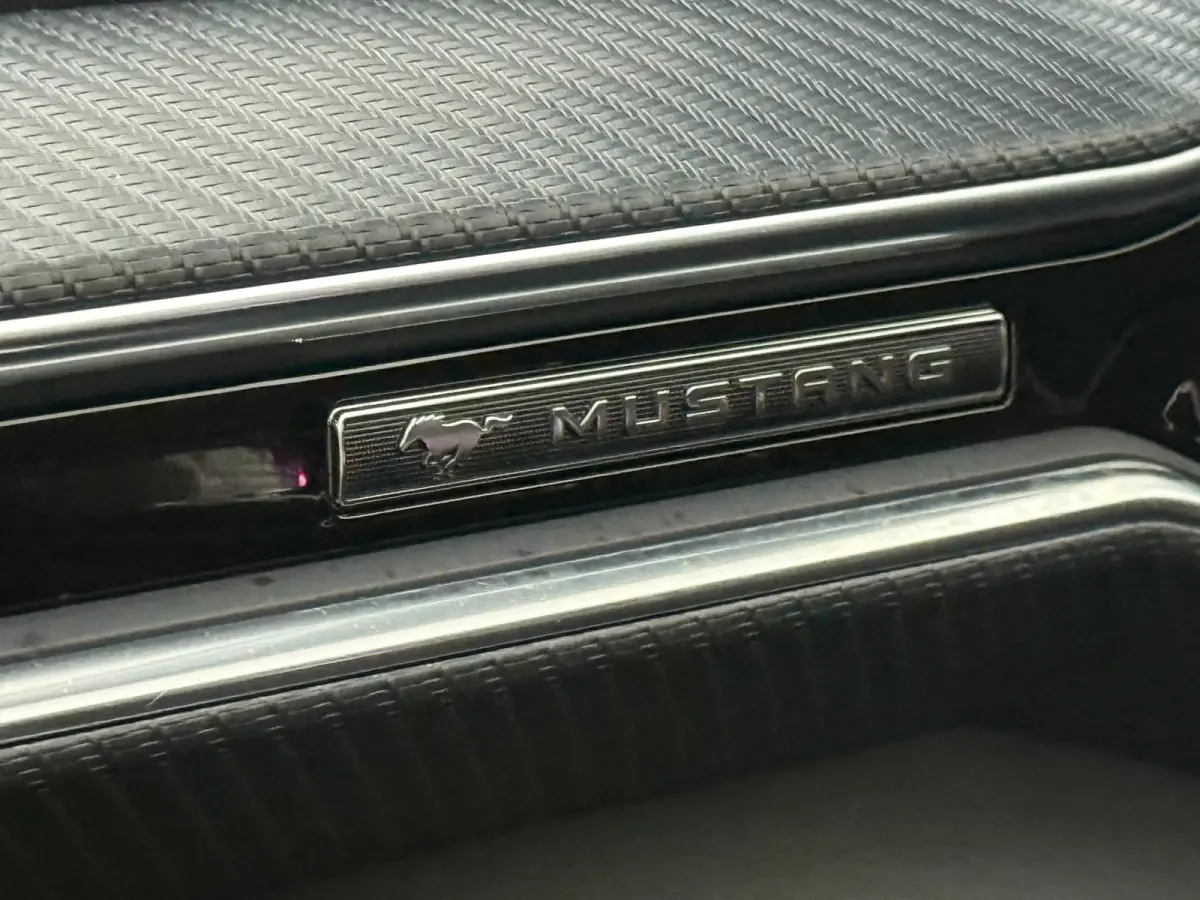 Performance Enige 2026 Mustang In Nederland!