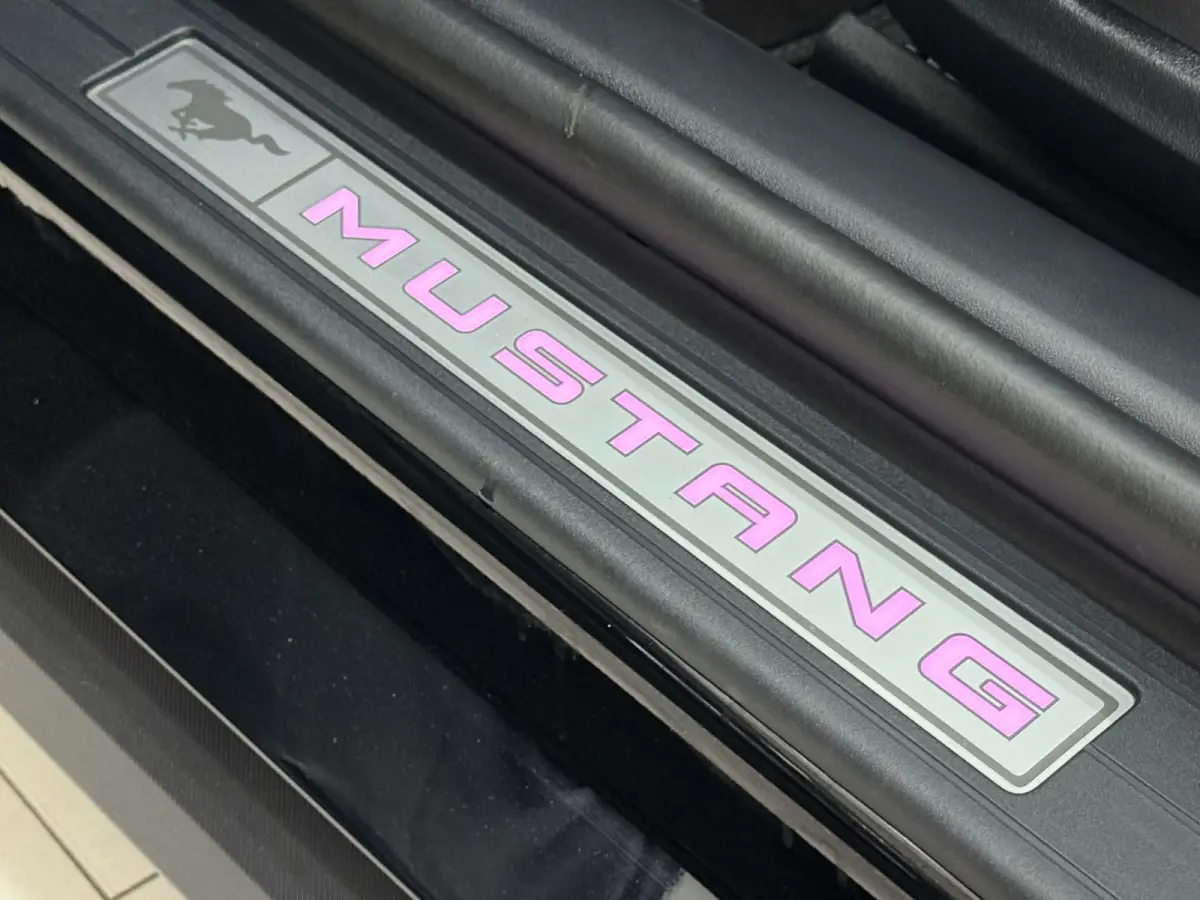 Performance Enige 2026 Mustang In Nederland!