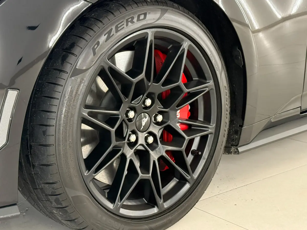 Performance Enige 2026 Mustang In Nederland!