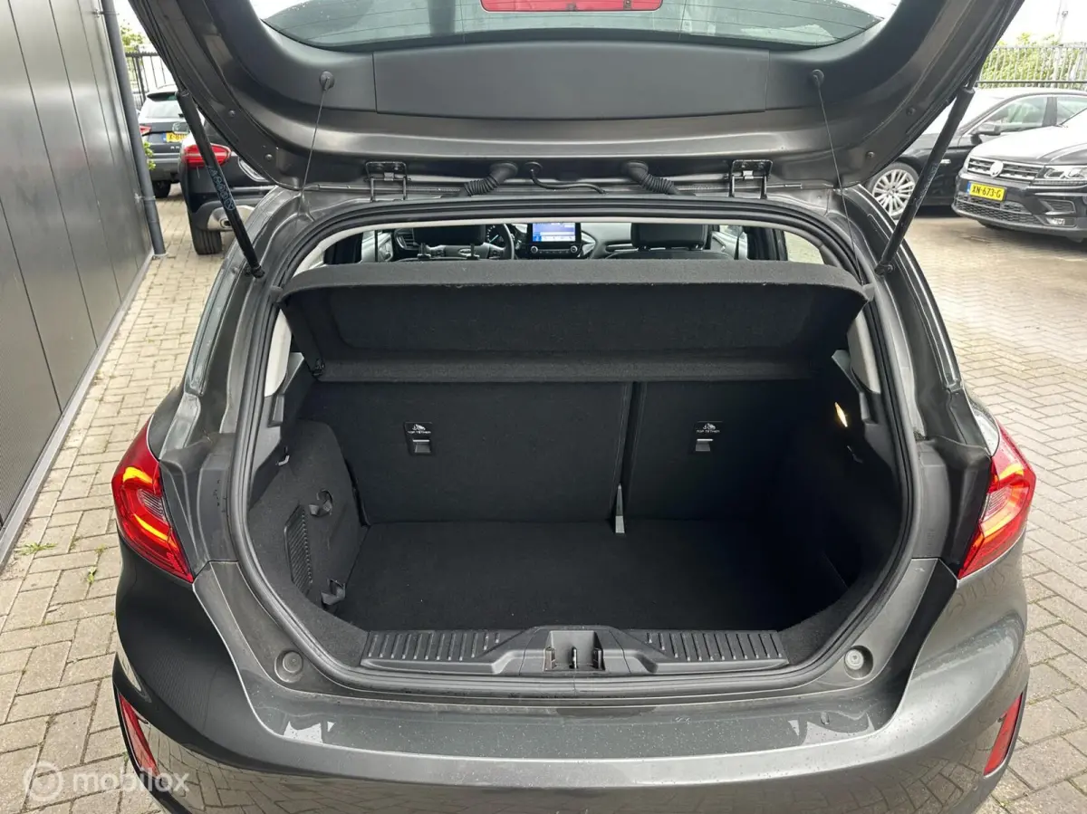 1.0 EcoBoost Titanium I Trekhaak I Stoelverwarming