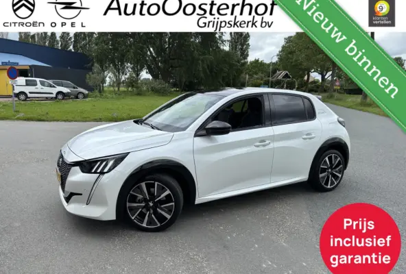 100pk NL GT Line All-in Prijs