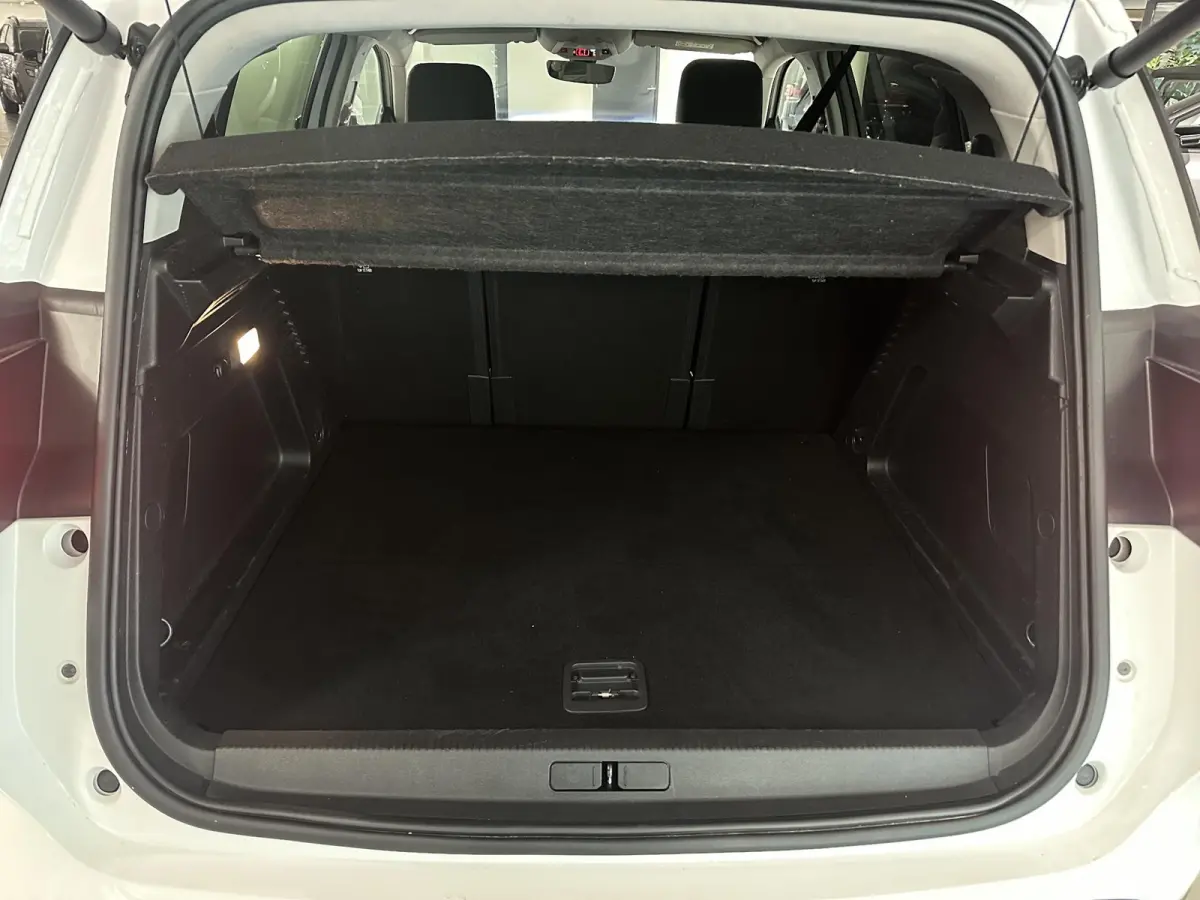 1.6 Plug-in Hybrid 225 Shine