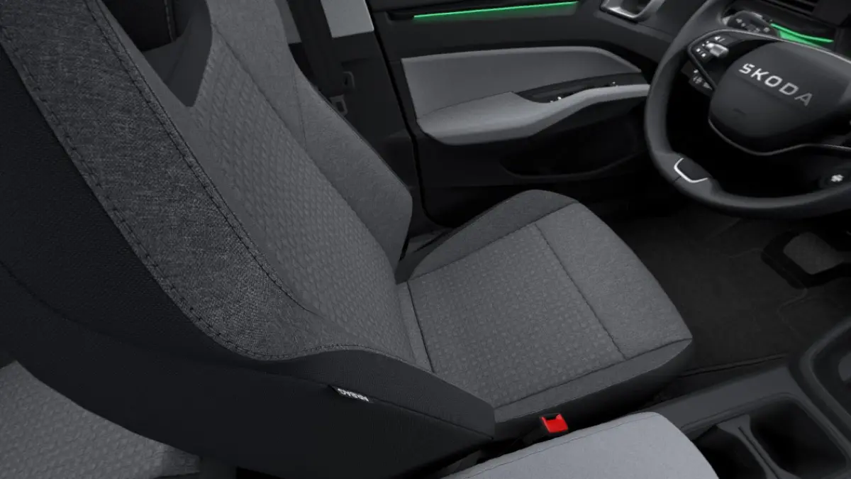 Essence 116pk 38.5 kWh | LMV 17'' | Cruise Control Adaptief