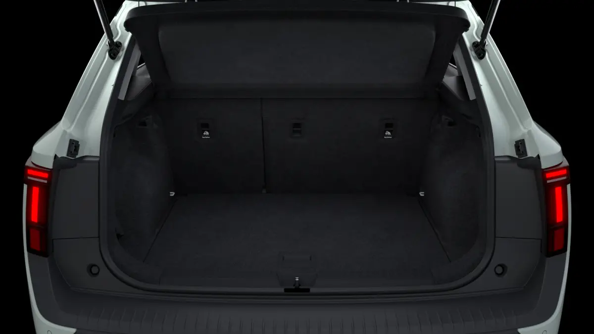 Essence 116pk 38.5 kWh | LMV 17'' | Cruise Control Adaptief