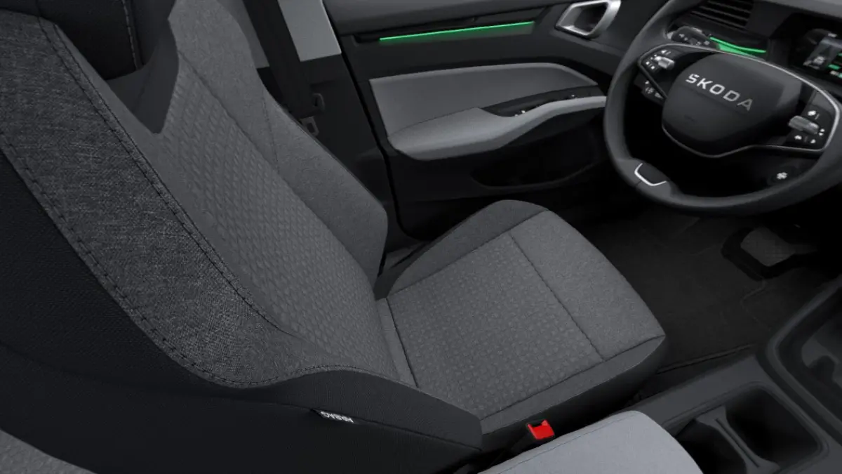 Essence 116pk 38.5 kWh | LMV 17'' | Cruise Control Adaptief