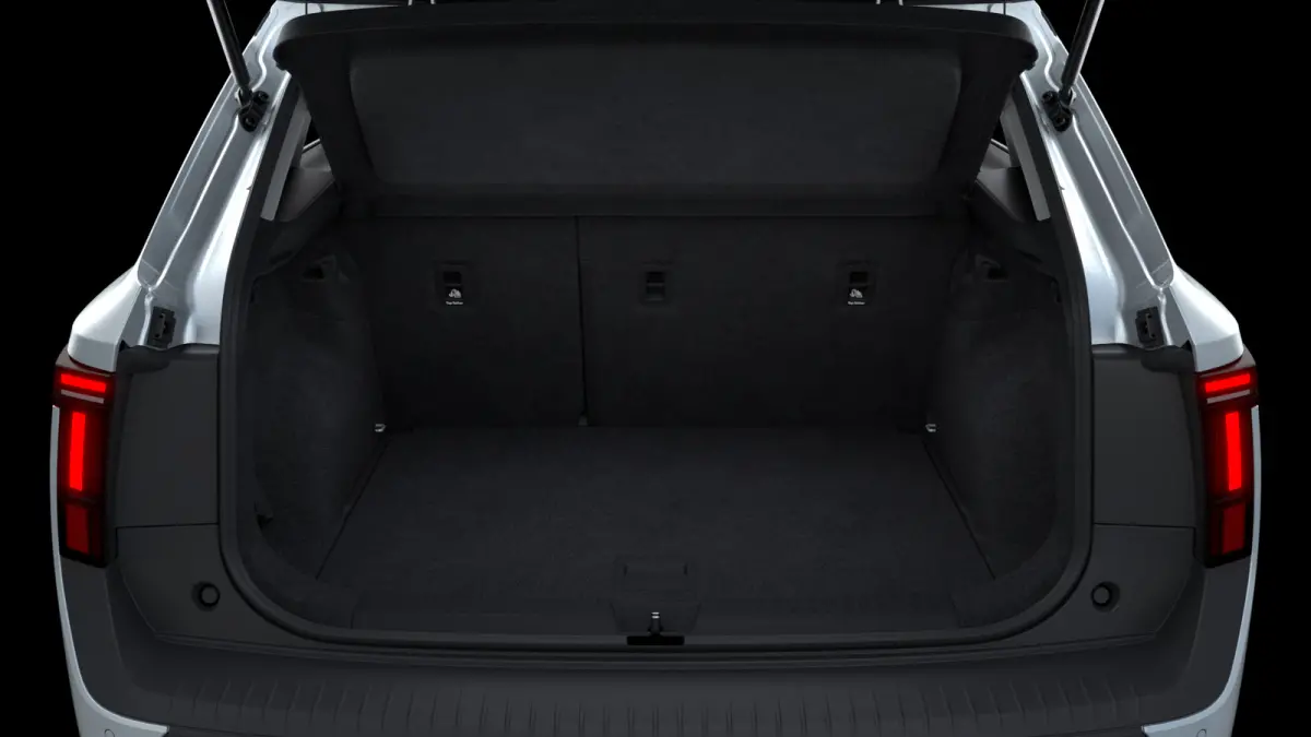 Essence 116pk 38.5 kWh | LMV 17'' | Cruise Control Adaptief