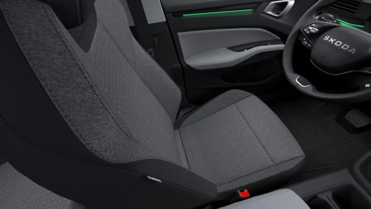Essence 116pk 38.5 kWh | LMV 17'' | Cruise Control Adaptief