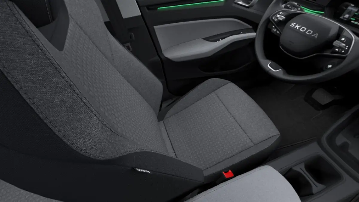 Essence 116pk 38.5 kWh | LMV 17'' | Cruise Control Adaptief