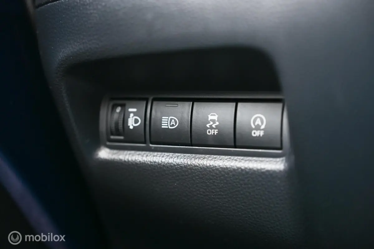 Pulse | Automaat | Stoelverwarming | BTW auto