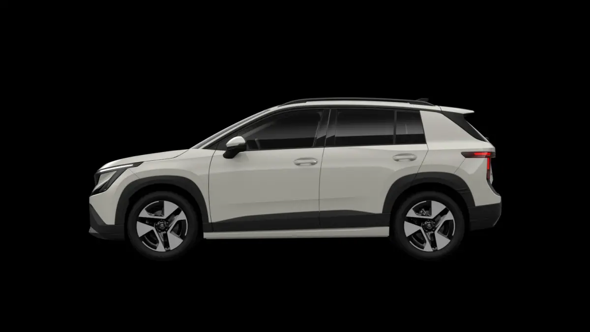 Selection Launch Edition 211pk 56 kWh | Velgen 18'' | Cruise Control Adaptief