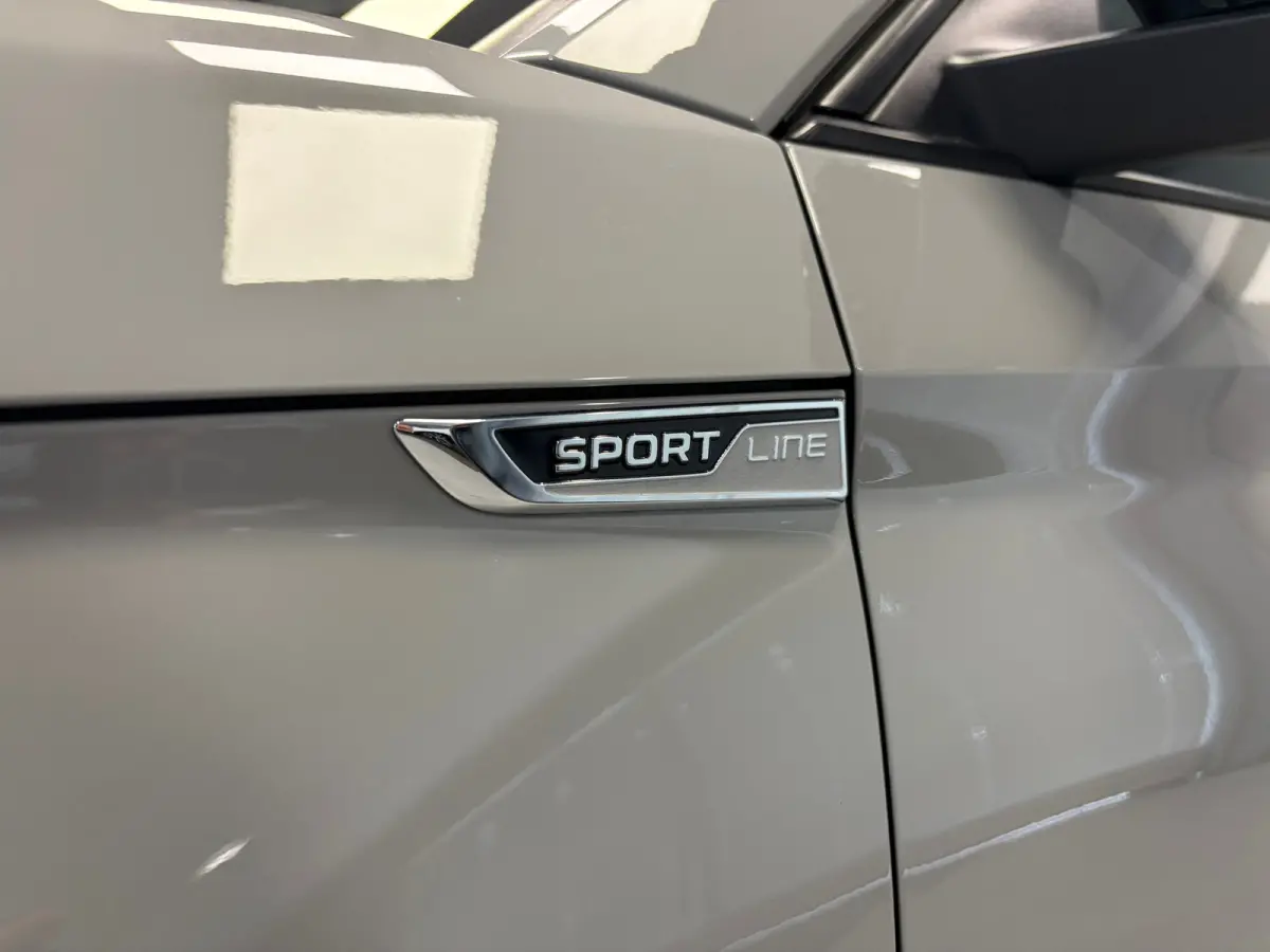Sportline Business 1.5TSi DSG | Camera | Carplay | Navigatie |