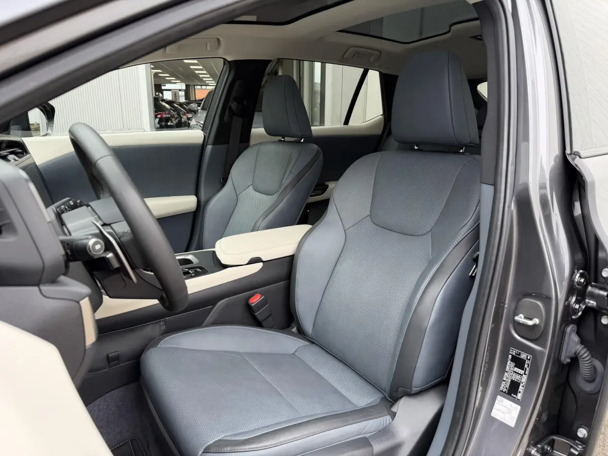450e Executive Line 71 kWh | NL-auto/1e eign./Pano-dak/Ca. 400 km. actieradius/Leder/Memory/Trekhaak/Adapt.Cruise