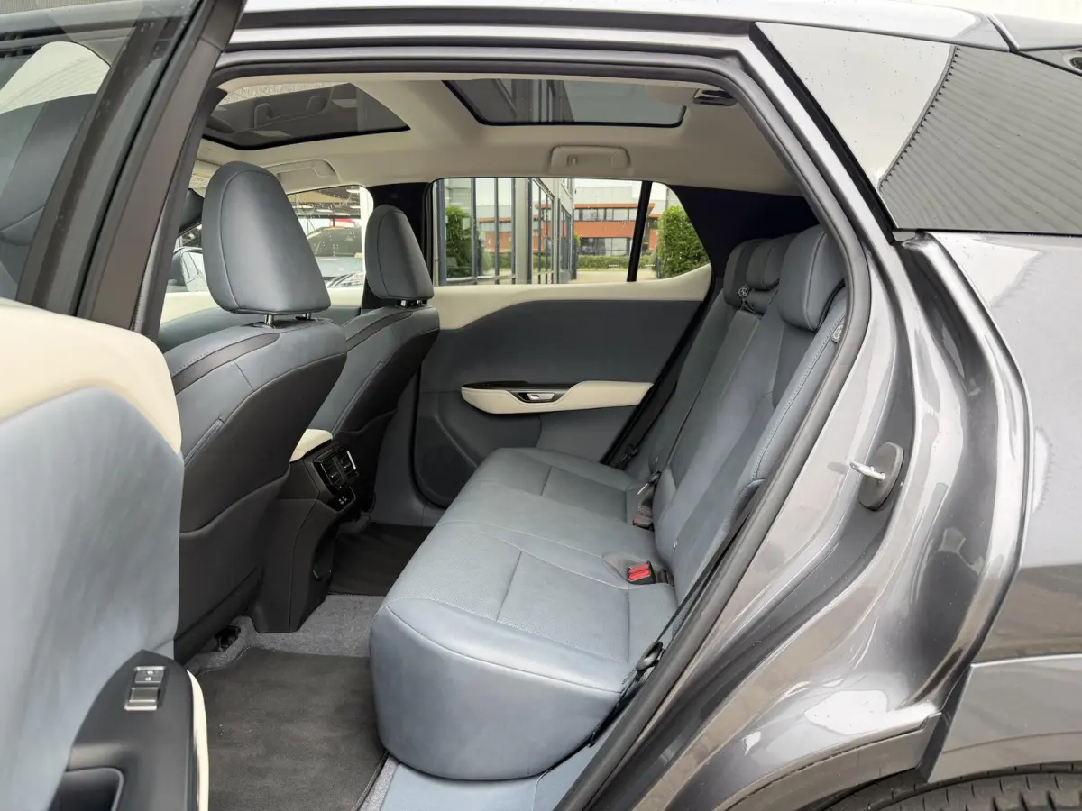 450e Executive Line 71 kWh | NL-auto/1e eign./Pano-dak/Ca. 400 km. actieradius/Leder/Memory/Trekhaak/Adapt.Cruise
