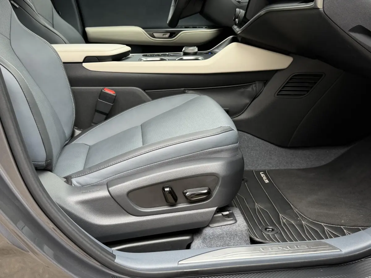 450e Executive Line 71 kWh | NL-auto/1e eign./Pano-dak/Ca. 400 km. actieradius/Leder/Memory/Trekhaak/Adapt.Cruise