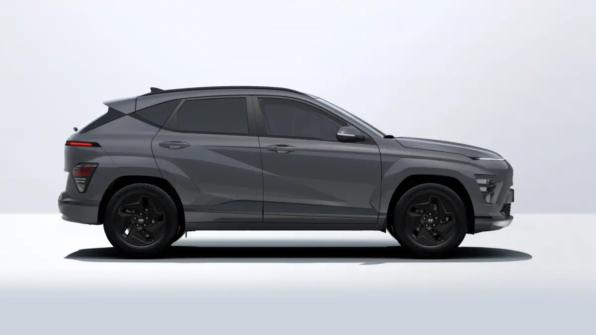 Long Range Pure Edition 64.8 kWh | €1500,- korting !! | Vanaf €419,- Private Lease p/m !