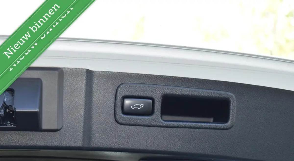300h AWD E-Four F Sport PANORAMADAK/VOL LEDER/LED/ACC/ETC.!