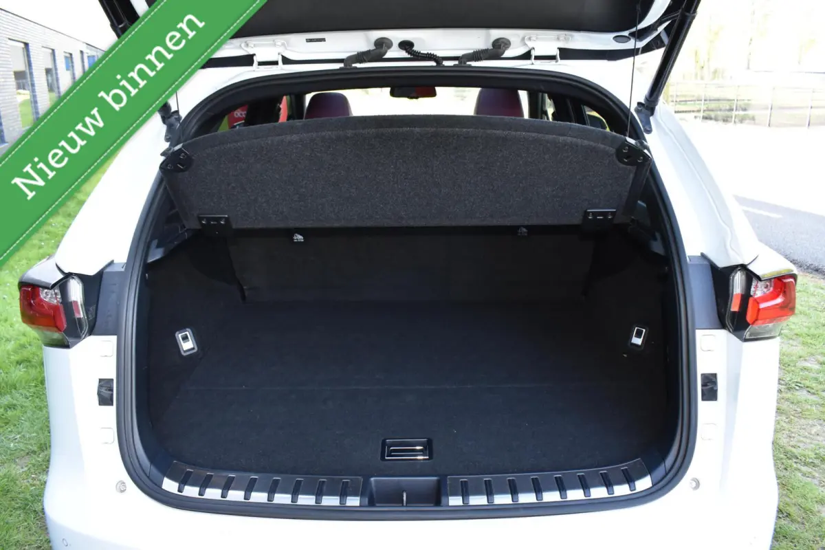 300h AWD E-Four F Sport PANORAMADAK/VOL LEDER/LED/ACC/ETC.!