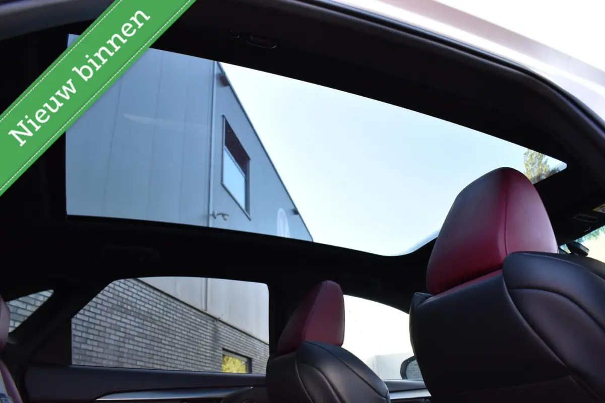 300h AWD E-Four F Sport PANORAMADAK/VOL LEDER/LED/ACC/ETC.!