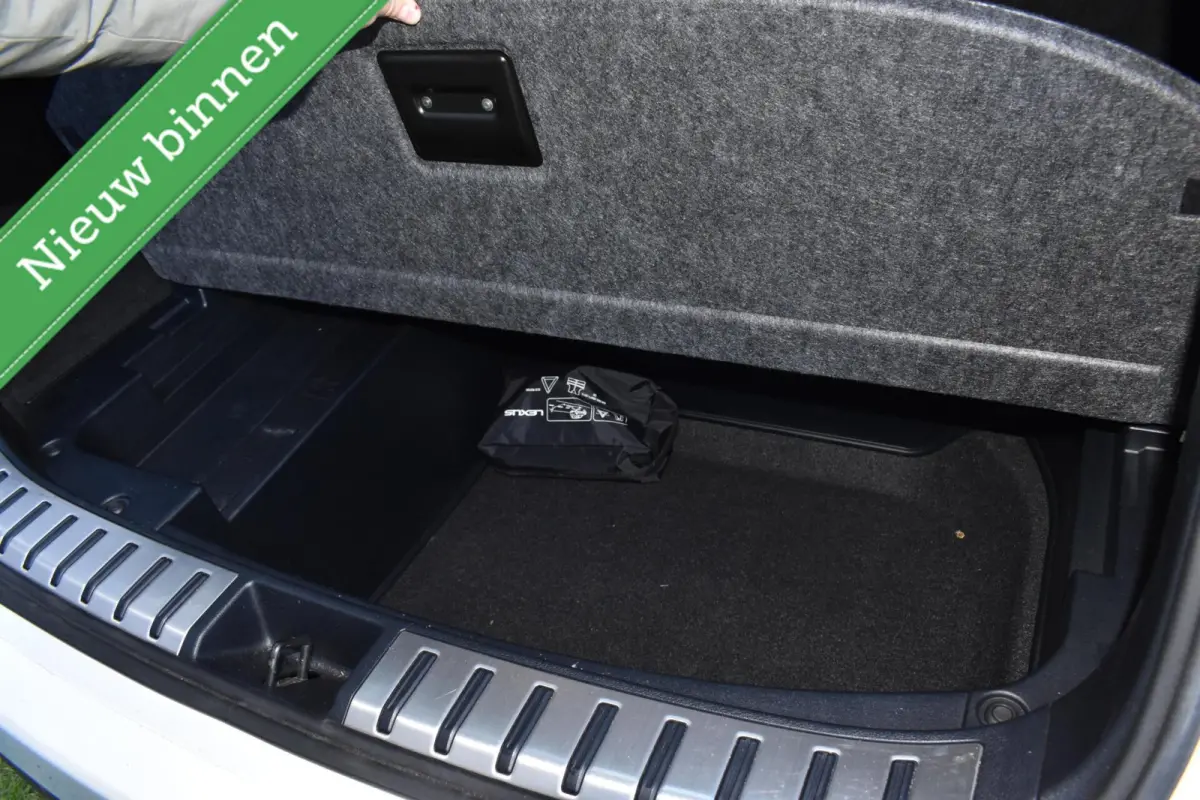 300h AWD E-Four F Sport PANORAMADAK/VOL LEDER/LED/ACC/ETC.!