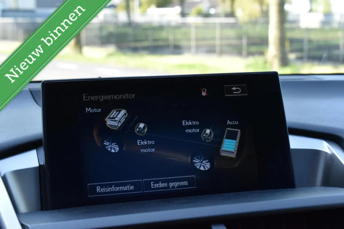 300h AWD E-Four F Sport PANORAMADAK/VOL LEDER/LED/ACC/ETC.!
