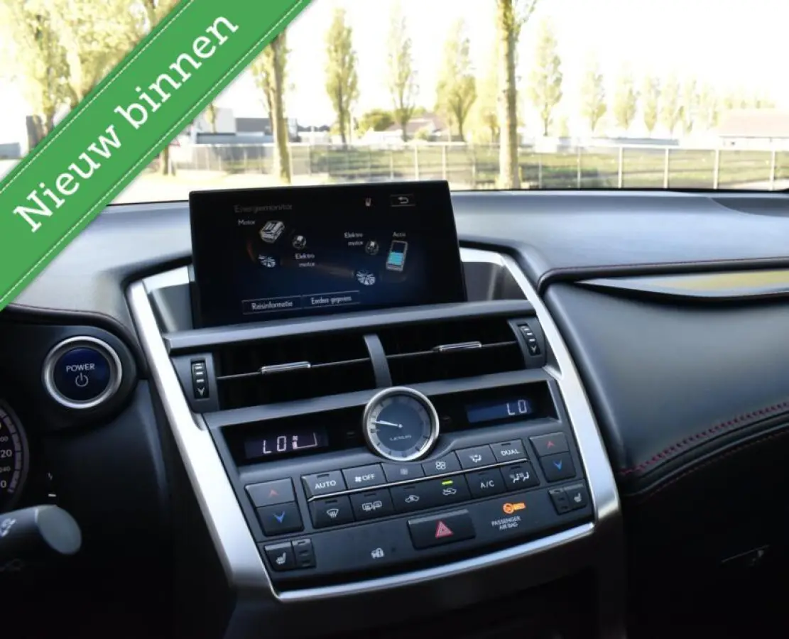 300h AWD E-Four F Sport PANORAMADAK/VOL LEDER/LED/ACC/ETC.!