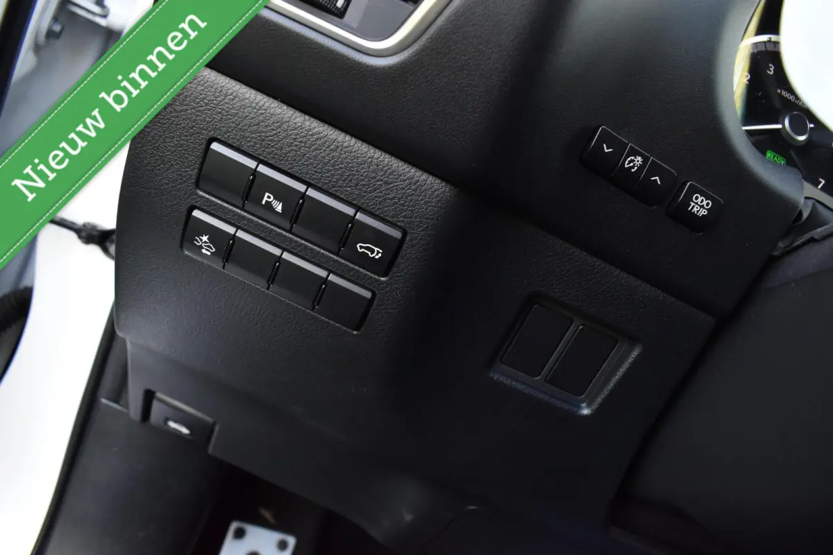 300h AWD E-Four F Sport PANORAMADAK/VOL LEDER/LED/ACC/ETC.!